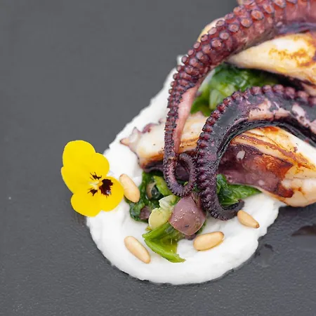 酒店 总统大酒店 索伦托